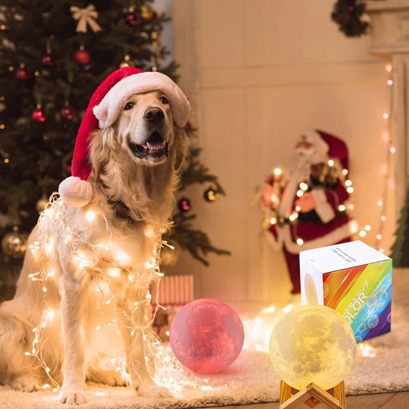 Moon Lamp  16 Colors LED 3D Moon Light Touch Remote Control Rechargeable - Sonic Online Shop OM -  